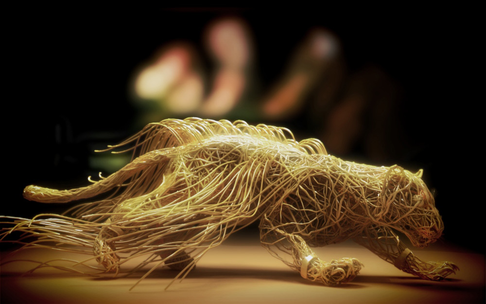 by نجيب الفاتح