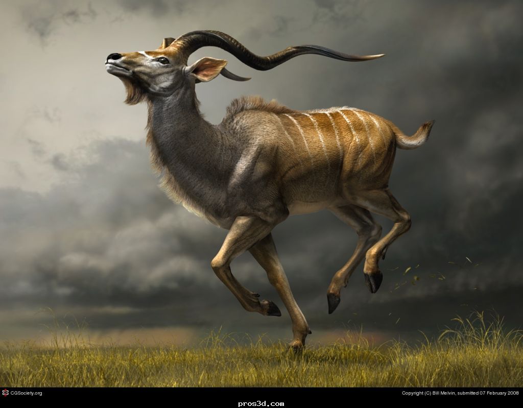 من موقع CGTalk 16