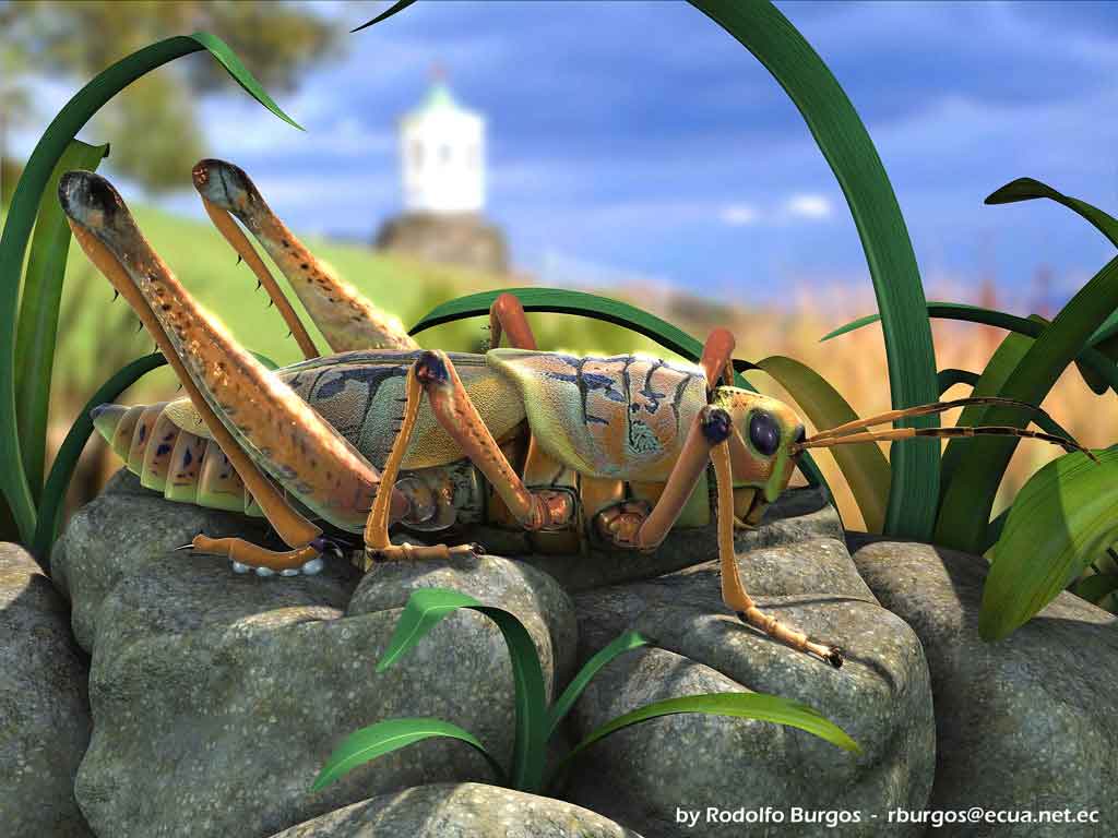 شخصيات كرتونية